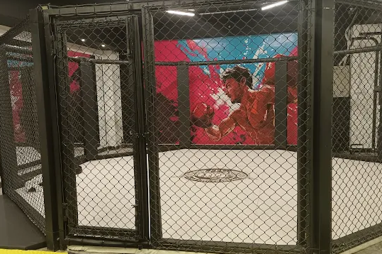 FFC GYM ( FIGHTER FUSION CLUB) gallery 1