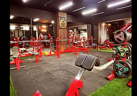 Fitness SCNZ