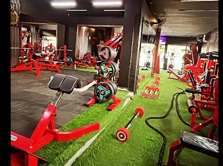 Fitness SCNZ gallery 1