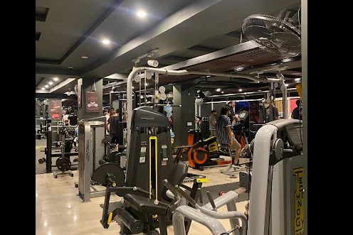 THE WORKOUTS gallery 1